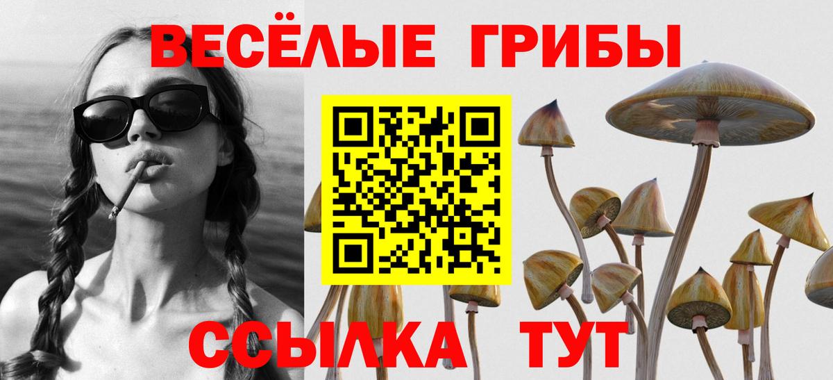 Галлюциногенные грибы мухоморы  Вход с VPN  Топки 
