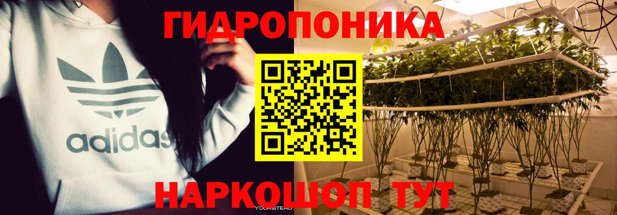 Бошки марихуана SATIVA & INDICA  МАРИХУАНА LSD WEED  Топки  Вход с VPN 
